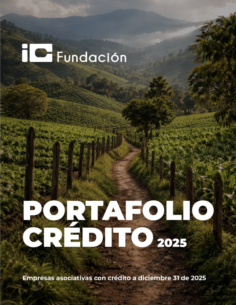 Portafolio 2025