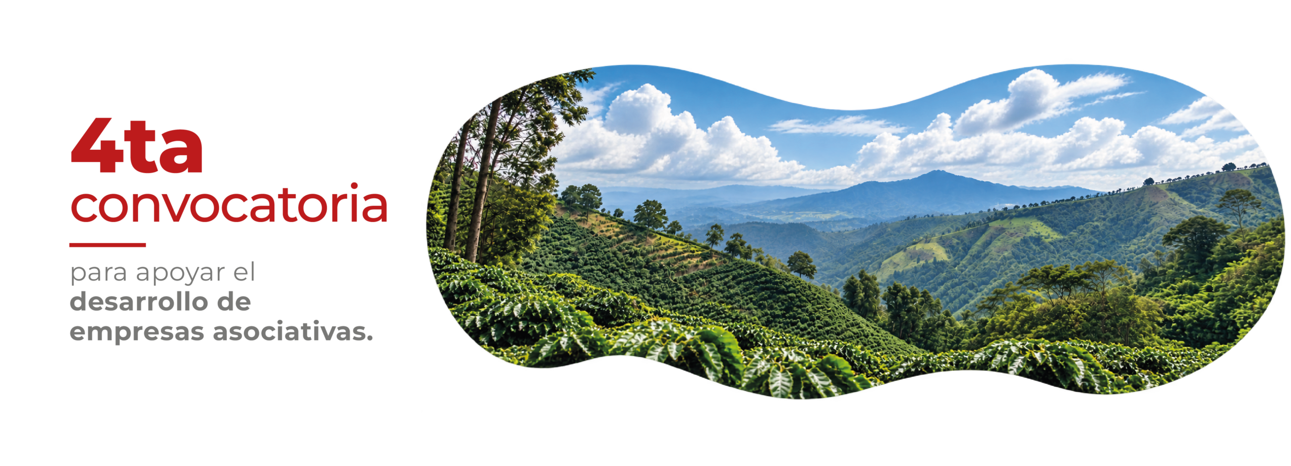 banner paisaje